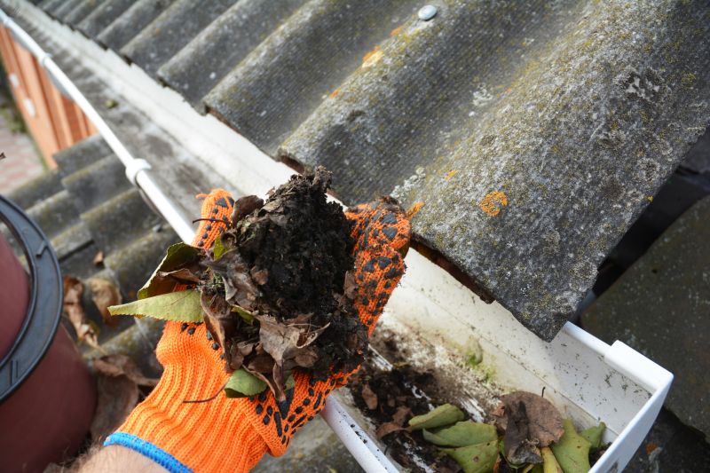 Clogged Gutter Clearing in Long Island, NY
