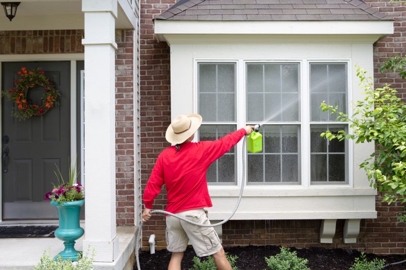 Window And Siding Cleaning detail