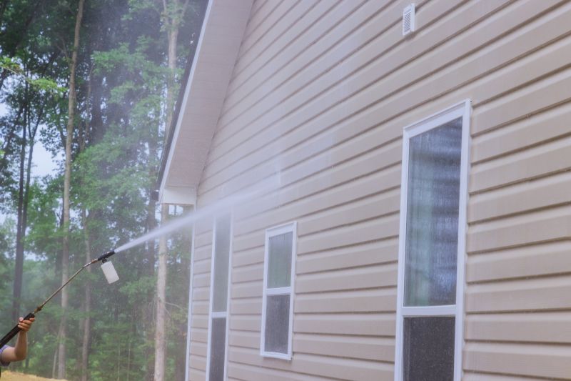 Window And Siding Cleaning detail