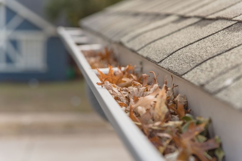 Gutter Leaves Removal in Annapolis, MD