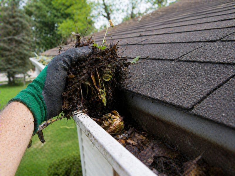 Gutter Maintenance in Longmont, CO
