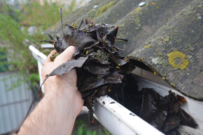Roof Gutter Cleaning in Pittsburgh, PA
