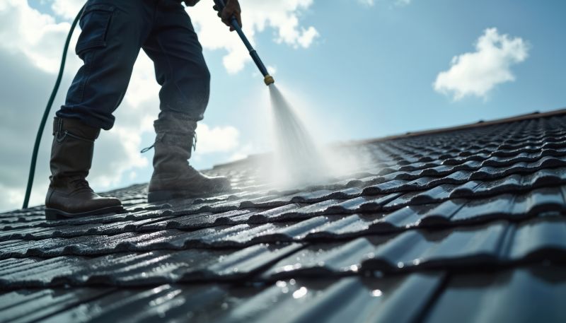 Roof Stain Removal in Vancouver, WA